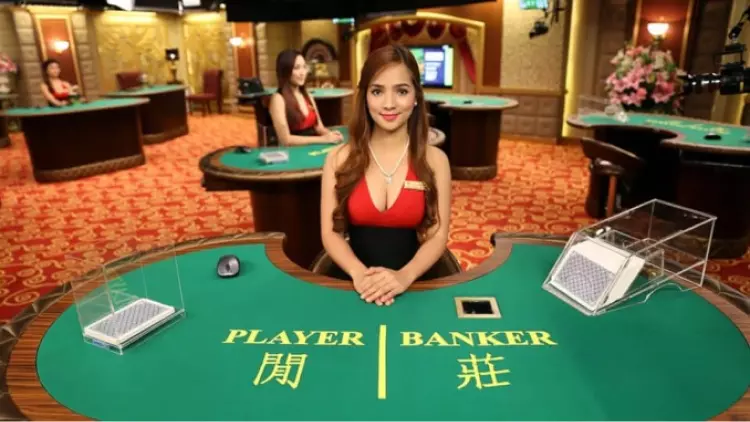 百家樂秘訣，如何選擇下注對象：押閒家還是莊家？｜堆金娛樂城